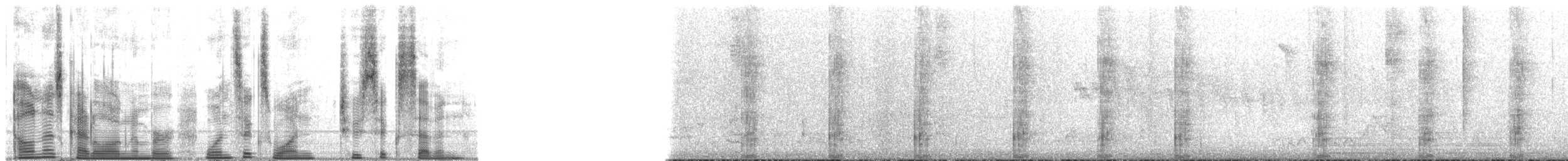 Cercopiteco mona - ML161267