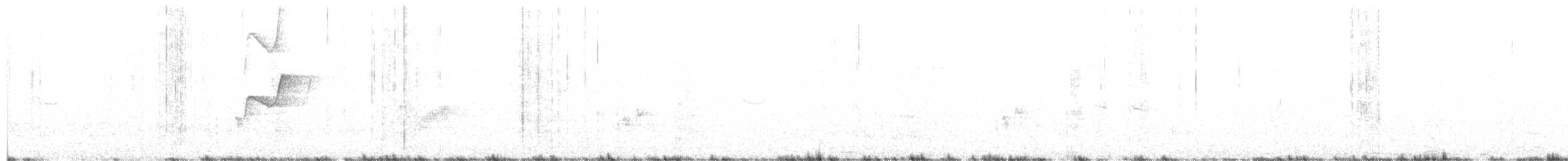 Western Flycatcher (Pacific-slope) - ML161274661