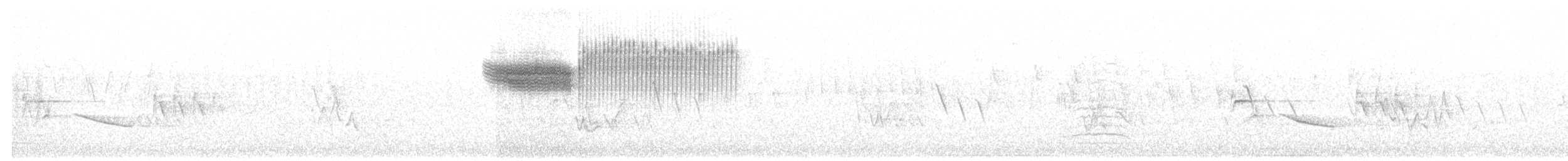 雑種 キンバネアメリカムシクイ ｘ アオバネアメリカムシクイ（F1雑種） - ML161284621