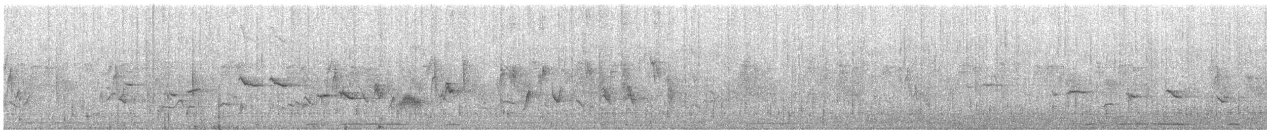 Oriole des vergers - ML161319911