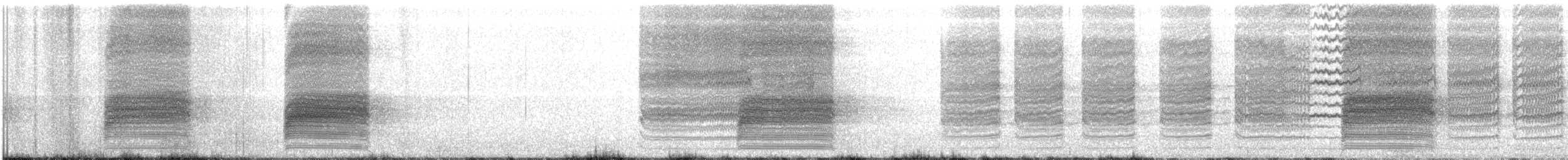 Loggerhead Shrike - ML161366731