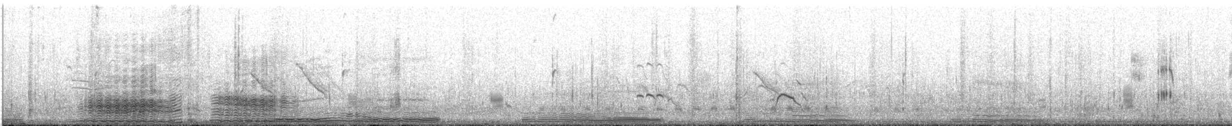 Cormorán Grande - ML161397771