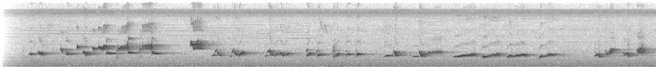 Northern Mockingbird - ML161421911