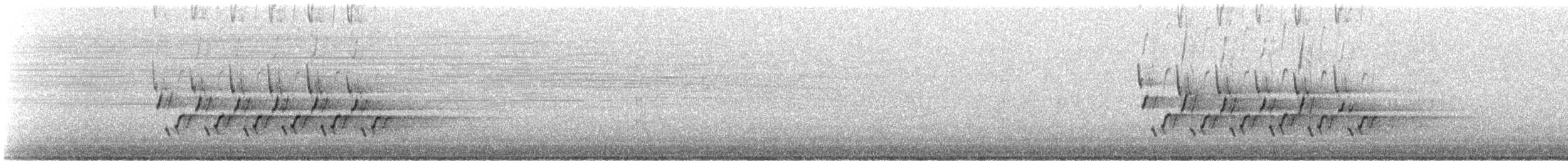 Carolina Wren - ML161421921