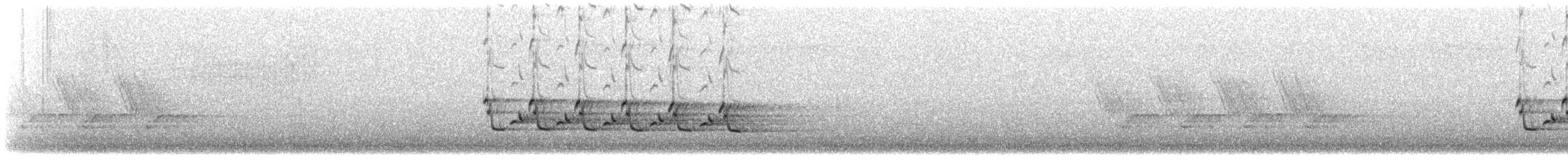 Carolina Wren - ML161421931