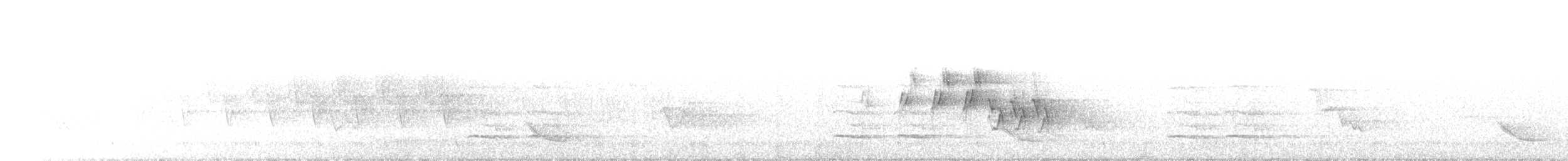 Черногорлая хвойница - ML161428701