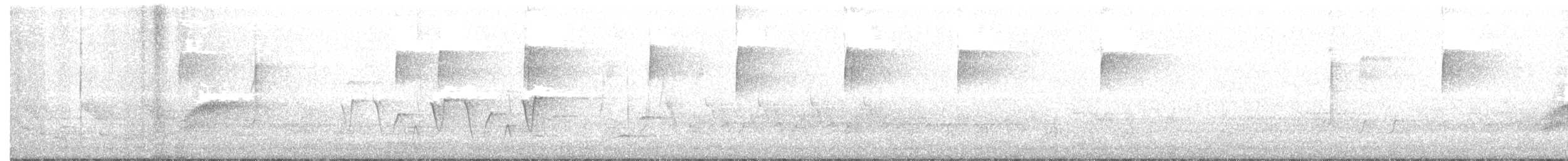 Paruline à gorge grise - ML161451131