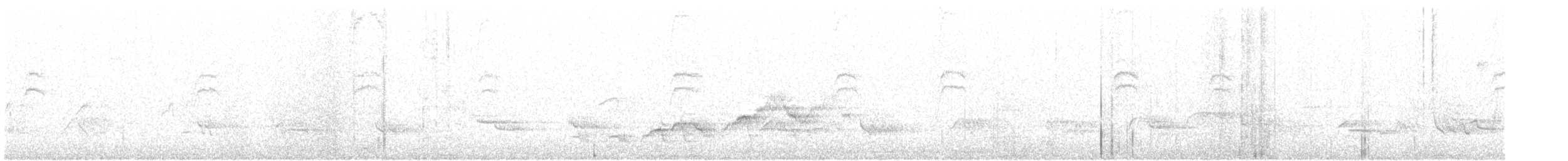 Дрізд-короткодзьоб Cвенсона - ML161549301