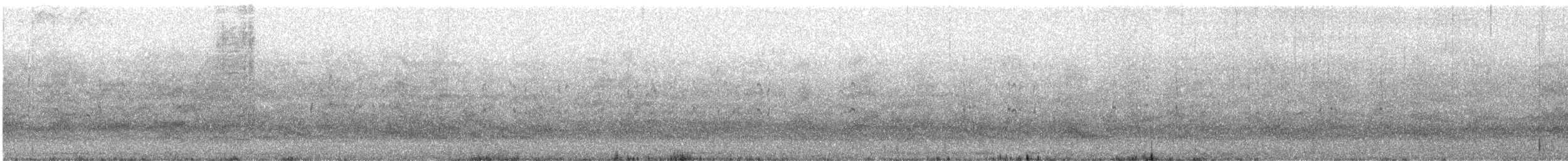 Бонапартова чайка - ML161551901