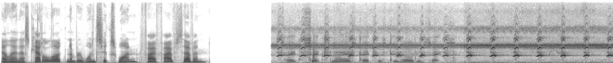 Ferruginous Pygmy-Owl (Ferruginous) - ML161557