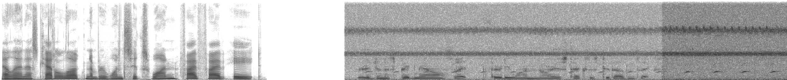 Ferruginous Pygmy-Owl (Ferruginous) - ML161558