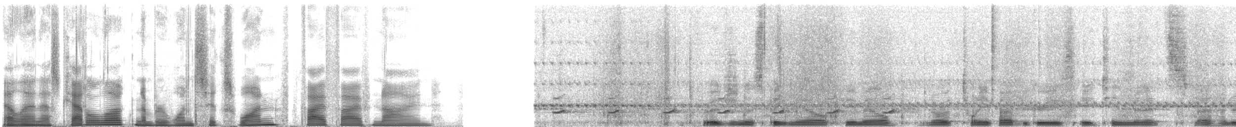 Ferruginous Pygmy-Owl (Ferruginous) - ML161559