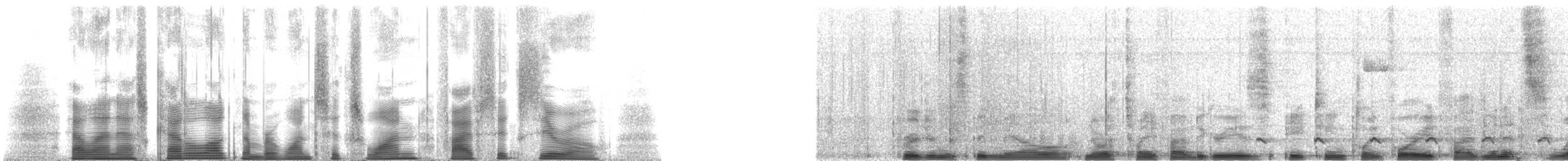 Ferruginous Pygmy-Owl (Ferruginous) - ML161560