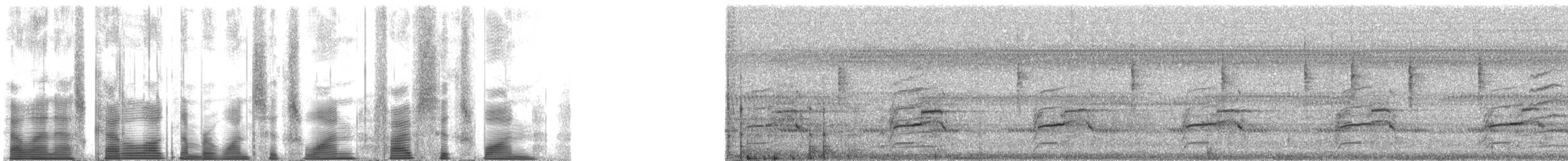 Ferruginous Pygmy-Owl (Ferruginous) - ML161561