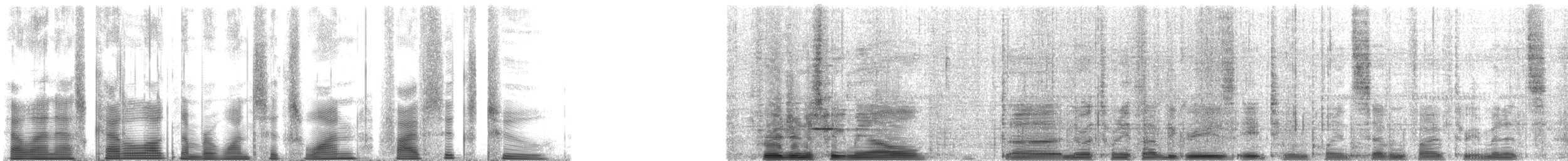 Ferruginous Pygmy-Owl (Ferruginous) - ML161562