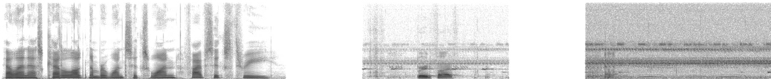 Ferruginous Pygmy-Owl (Ferruginous) - ML161563