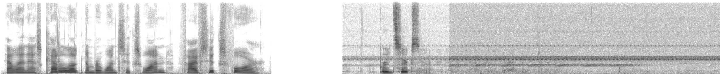 Ferruginous Pygmy-Owl (Ferruginous) - ML161564