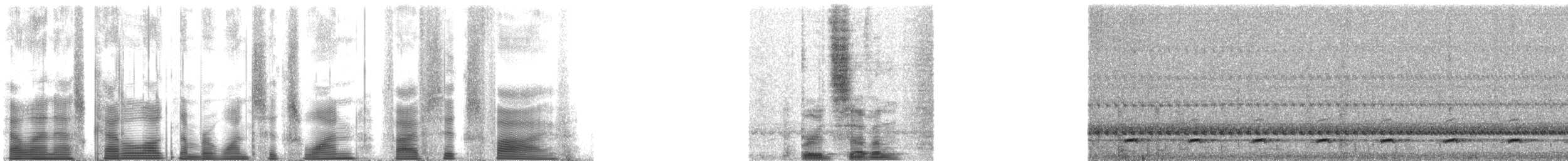 Ferruginous Pygmy-Owl (Ferruginous) - ML161565