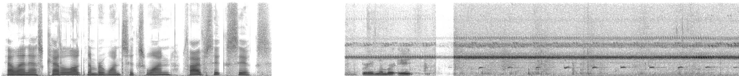 Ferruginous Pygmy-Owl (Ferruginous) - ML161566