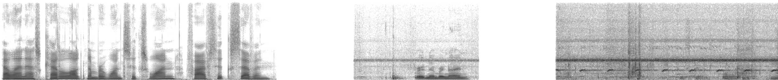 Ferruginous Pygmy-Owl (Ferruginous) - ML161567