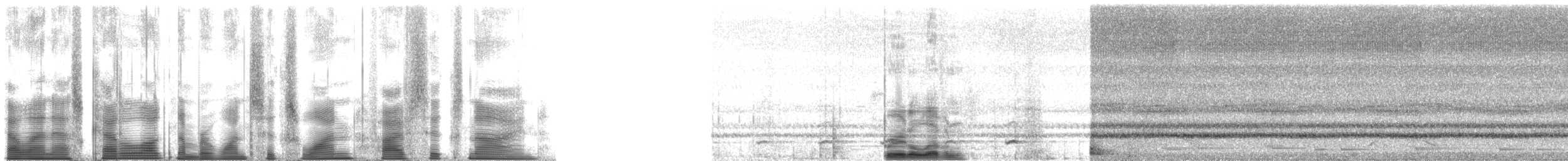 Ferruginous Pygmy-Owl (Ferruginous) - ML161569