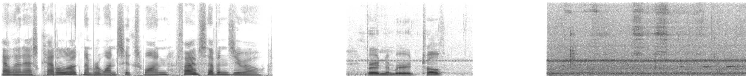 Ferruginous Pygmy-Owl (Ferruginous) - ML161570