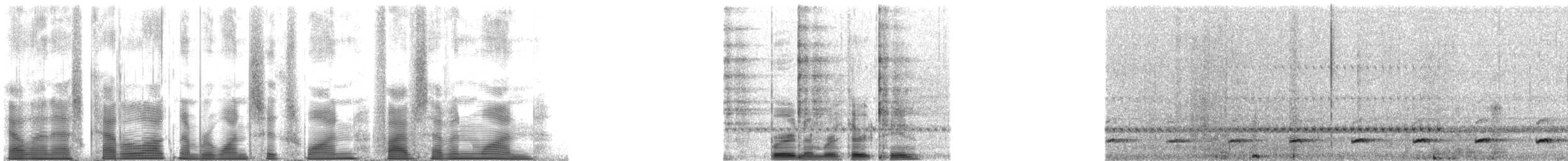 Ferruginous Pygmy-Owl (Ferruginous) - ML161571