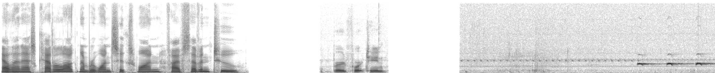 Ferruginous Pygmy-Owl (Ferruginous) - ML161572