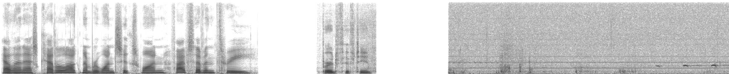 Ferruginous Pygmy-Owl (Ferruginous) - ML161573