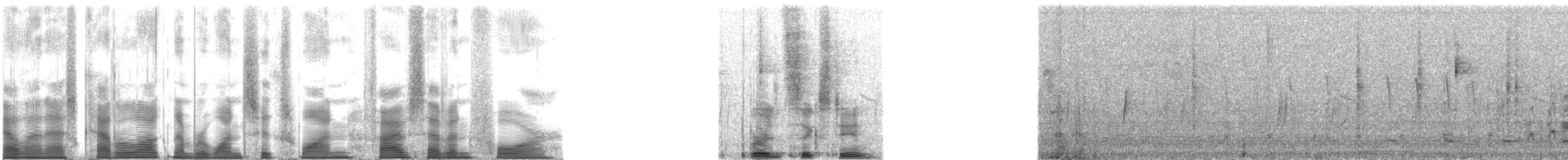 Ferruginous Pygmy-Owl (Ferruginous) - ML161574