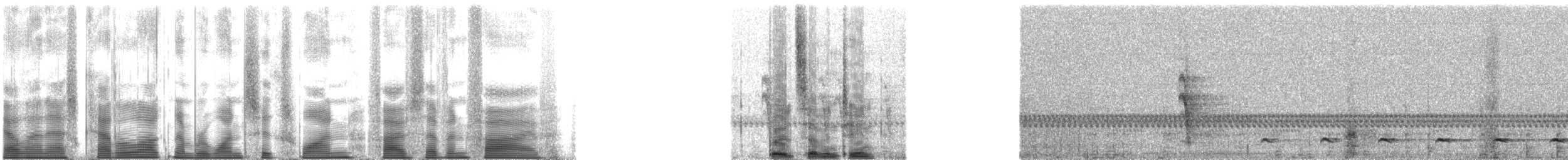 Ferruginous Pygmy-Owl (Ferruginous) - ML161575