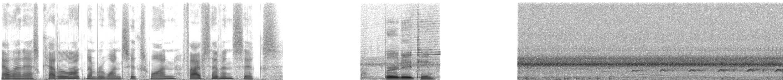 Ferruginous Pygmy-Owl (Ferruginous) - ML161576