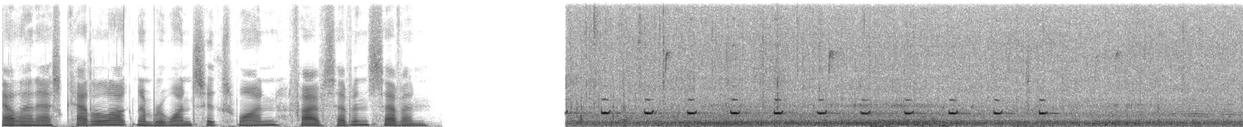 Ferruginous Pygmy-Owl (Ferruginous) - ML161577