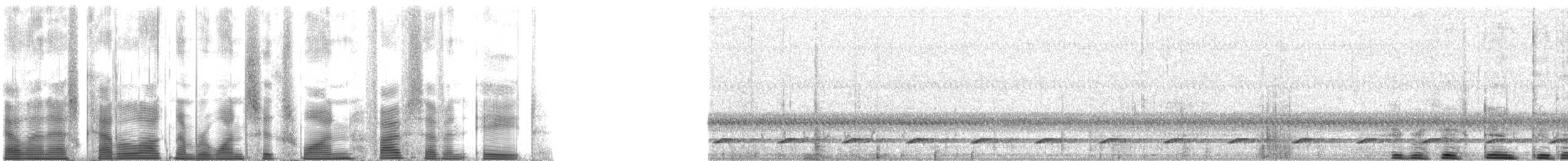 Ferruginous Pygmy-Owl (Ferruginous) - ML161578