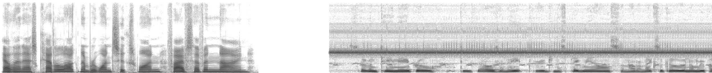Ferruginous Pygmy-Owl (Ferruginous) - ML161579