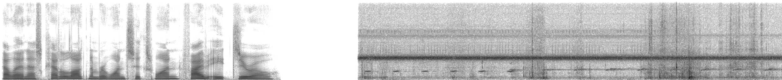 Ferruginous Pygmy-Owl (Ferruginous) - ML161580