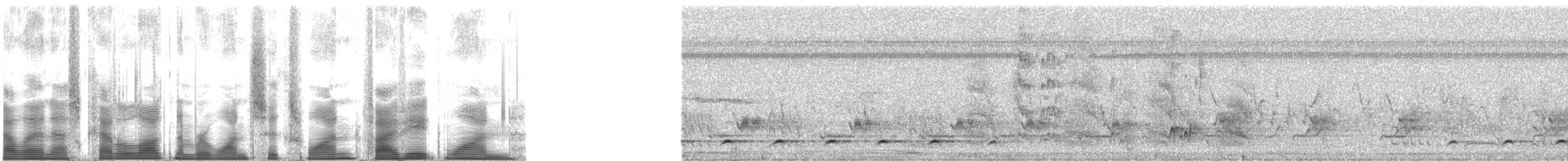Ferruginous Pygmy-Owl (Ferruginous) - ML161581