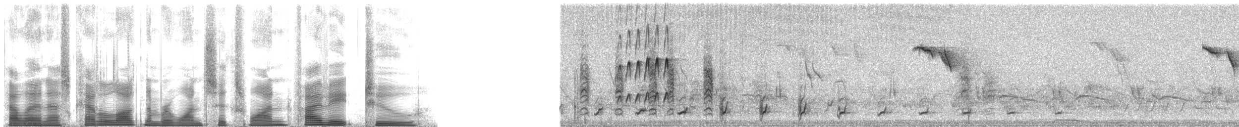 Ferruginous Pygmy-Owl (Ferruginous) - ML161582