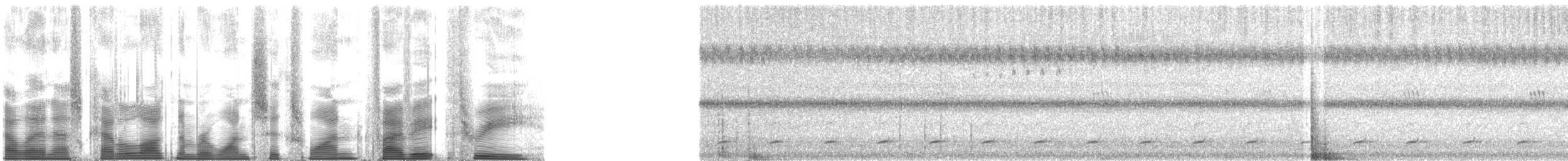 Ferruginous Pygmy-Owl (Ferruginous) - ML161583