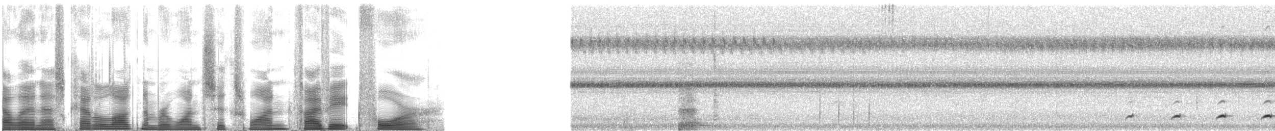Ferruginous Pygmy-Owl (Ferruginous) - ML161584