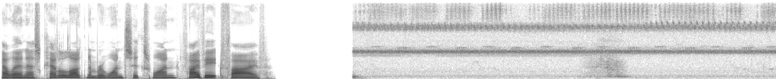 Ferruginous Pygmy-Owl (Ferruginous) - ML161585