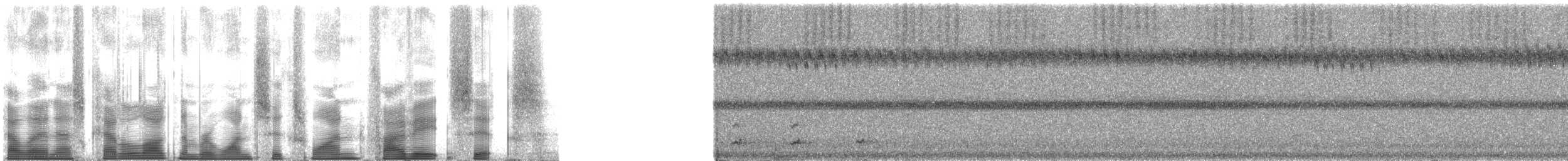 Ferruginous Pygmy-Owl (Ferruginous) - ML161586