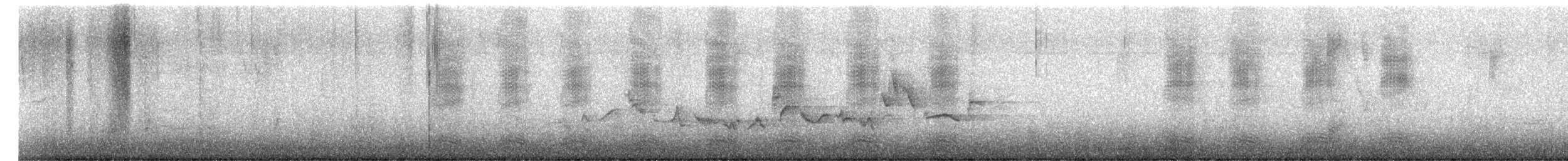 Warbling Vireo - ML161587131