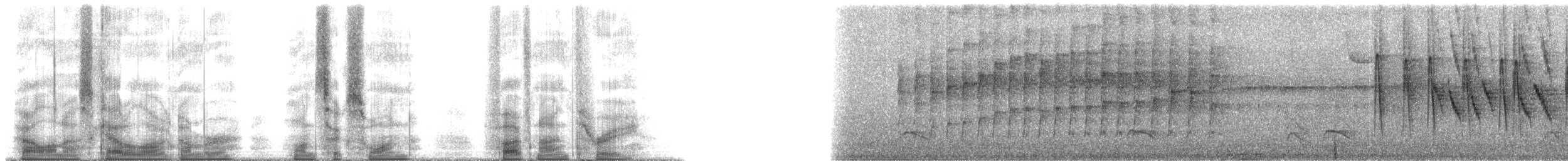 Çizgili Başlı Karıncakuşu - ML161593