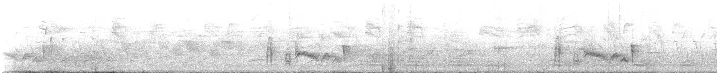 White-eyed Vireo - ML161609521