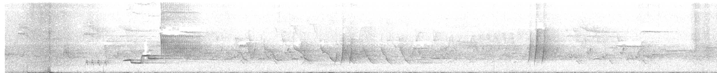 Wood Thrush - ML161617081