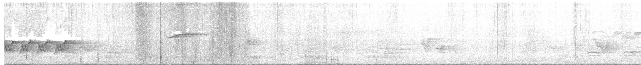 Kentucky Warbler - ML161617671