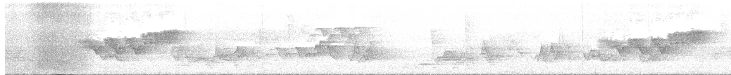 Swainson's Thrush - ML161617741