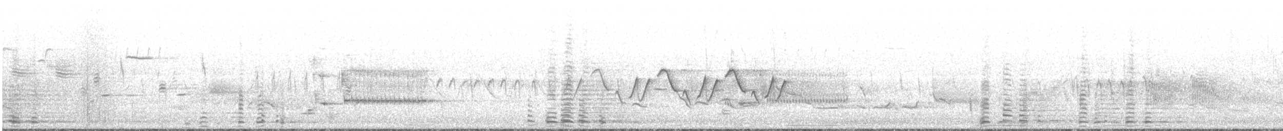 Cisne Trompetero - ML161619201