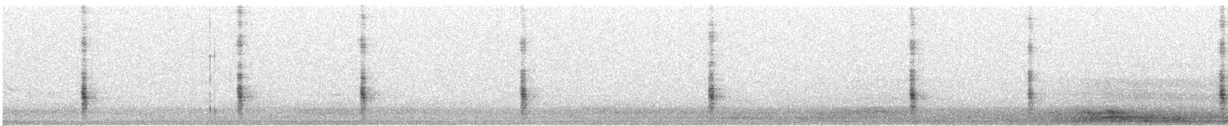 Quiscale bronzé - ML161625511